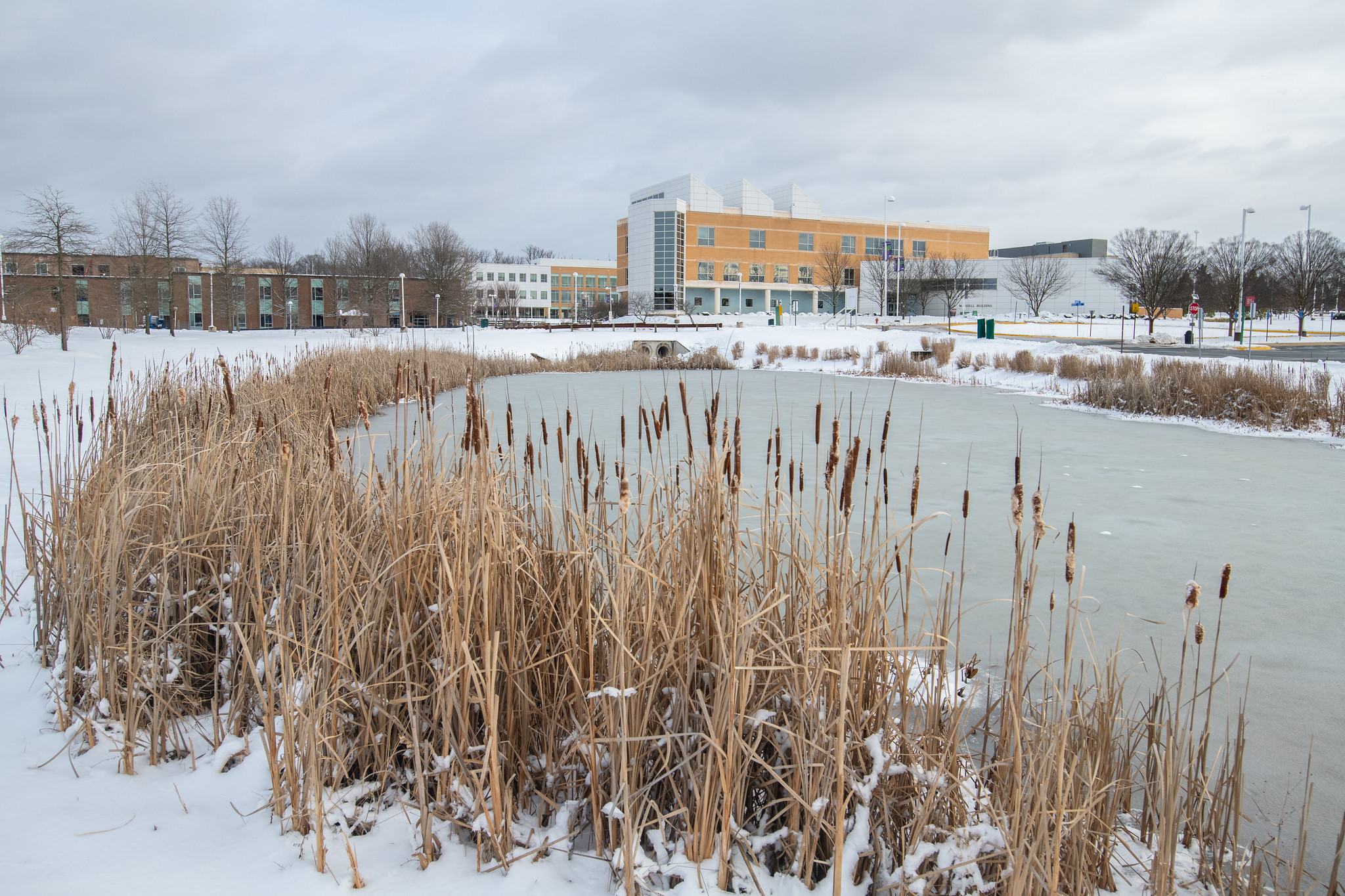 The Loudoun campus pond covered in ice and snow.