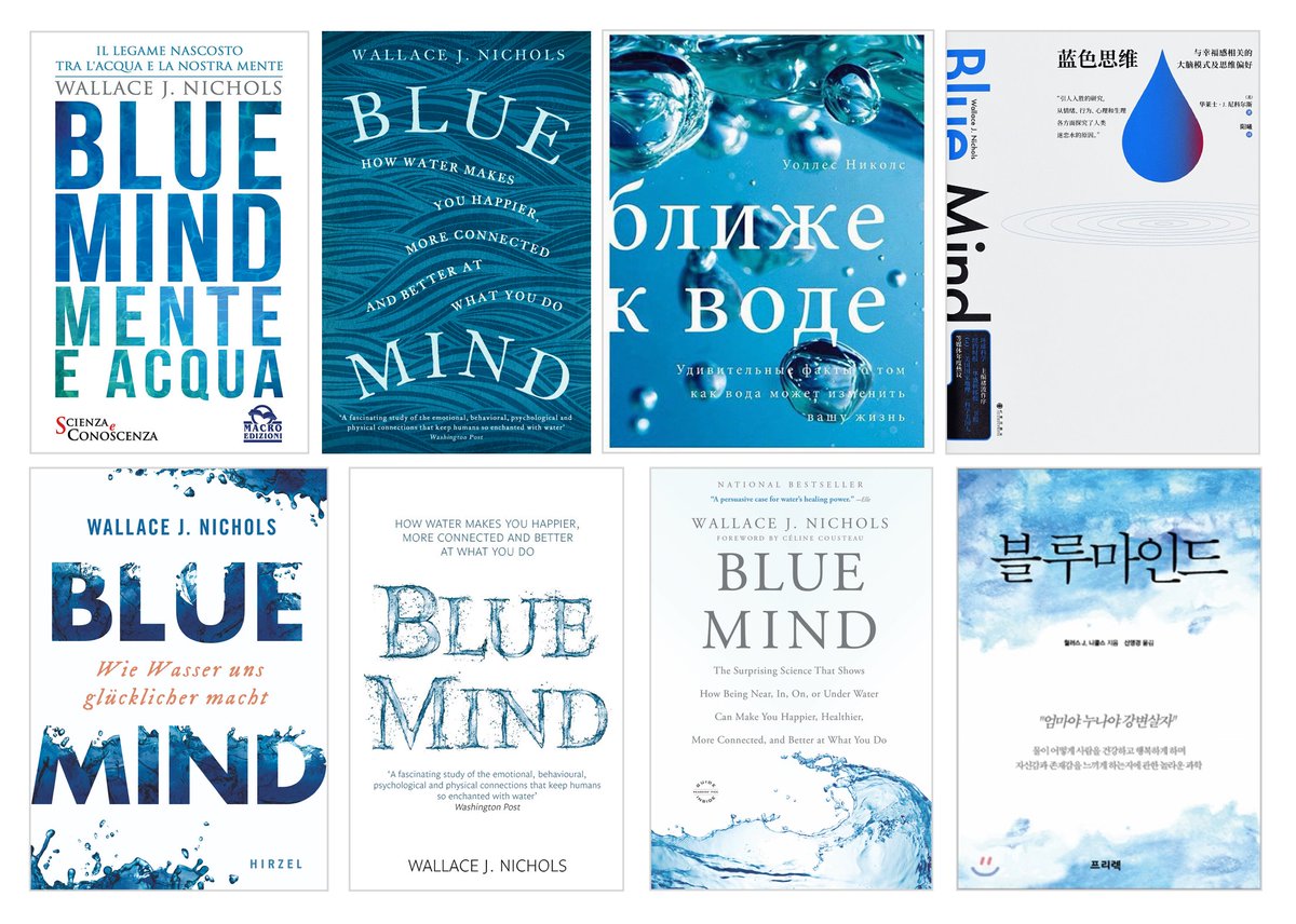 The Blue Mind Movement tweet media