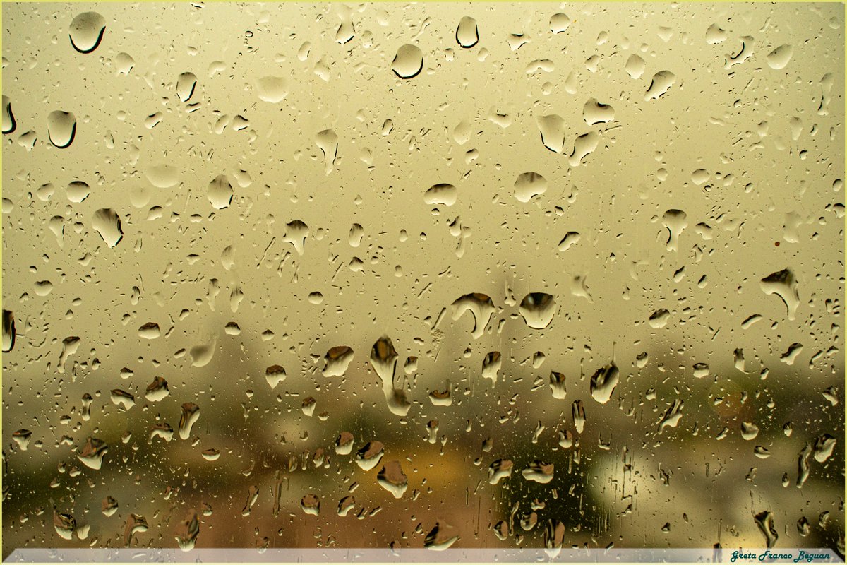 GretaFB's tweet photo. #Naturaleza #Nature #Natural #Shooting #Shot #photography #Art #Paisajes #Landscape #Scenery #ciudad #city #lluvia #drops #Gotas #agua #Water #rain #focused #unfocused #fineart #Urbano #urban #window #ventana #Building #Edificios #yellow #amarillo #empapada #soaked #humedo #wet https://t.co/fjFVDHpU8K