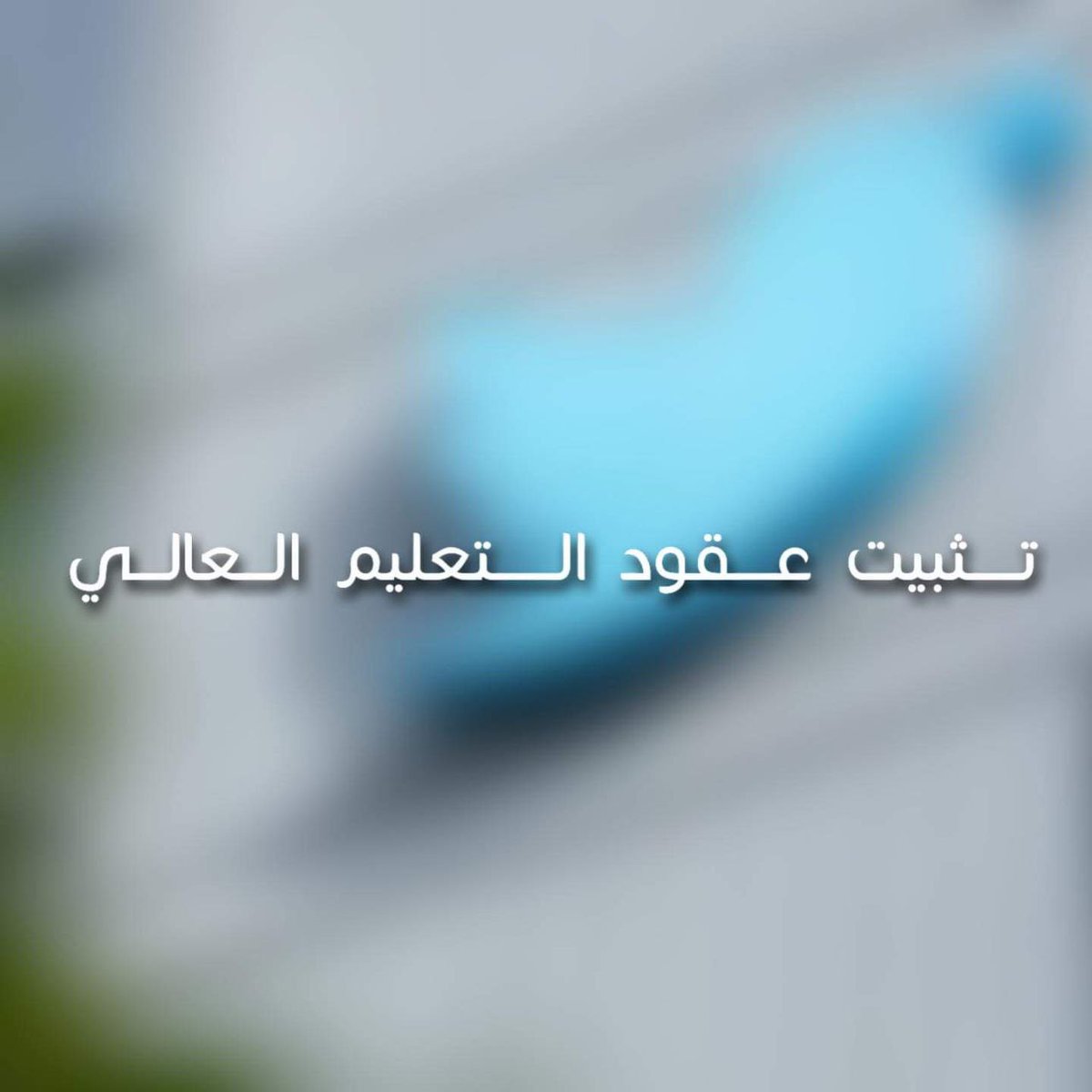 NaiyaAb13257140's tweet photo. #الماليه_تعرقل_تثبيت_عقودالتعليم https://t.co/Z8Kamy4gRh