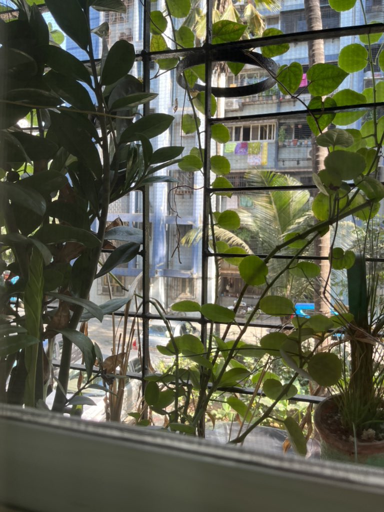 urkannmani's tweet photo. front back https://t.co/6jKPQR0Khg