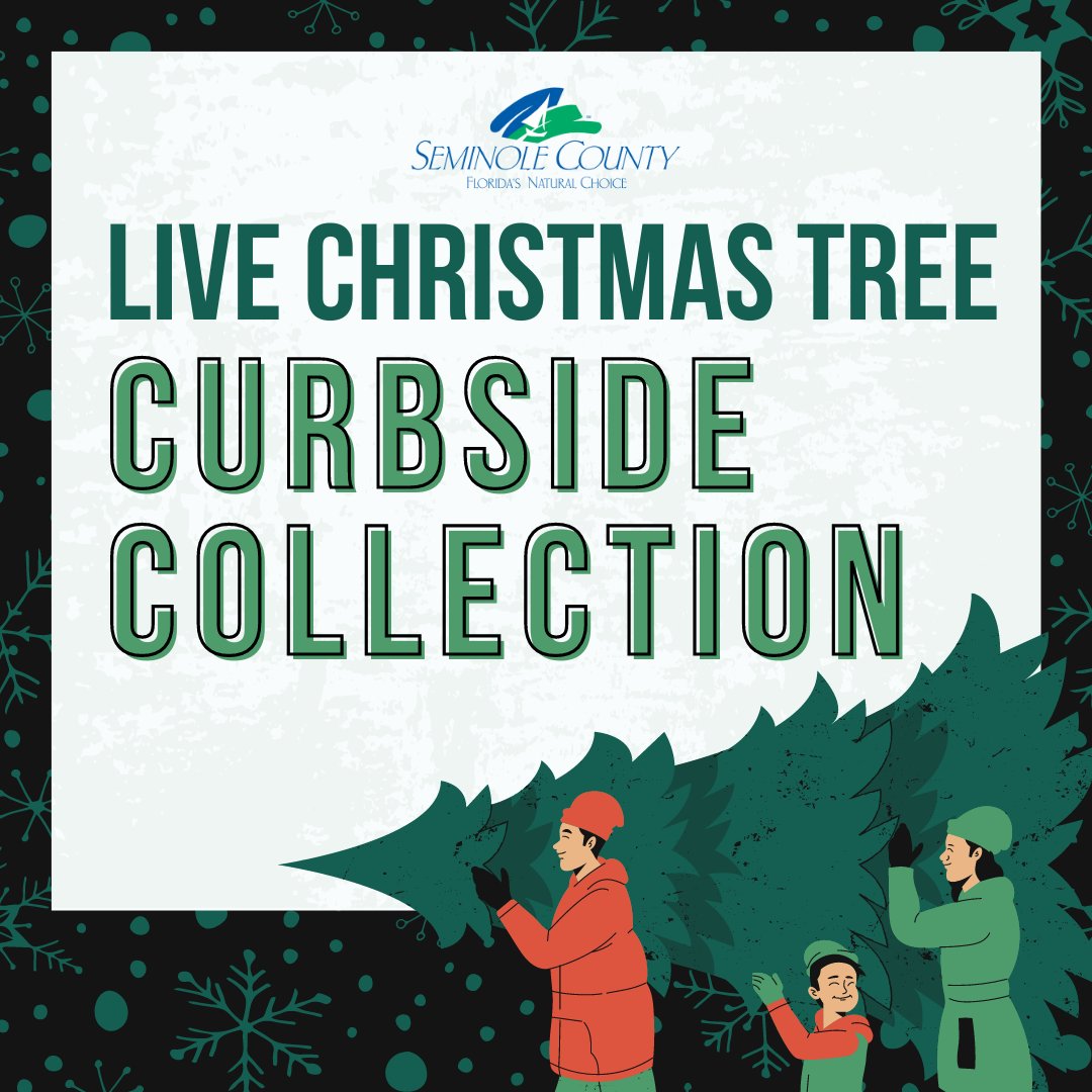 TREE COLLECTION: Unincorporated solid waste customers may place live (real) Christmas trees curbside on Wednesdays (regular yard waste days) no later than 6am. Trees will be collected thru the end of Jan. 
Trees taller than 8ft should be cut into sections no longer than 4ft.🌲