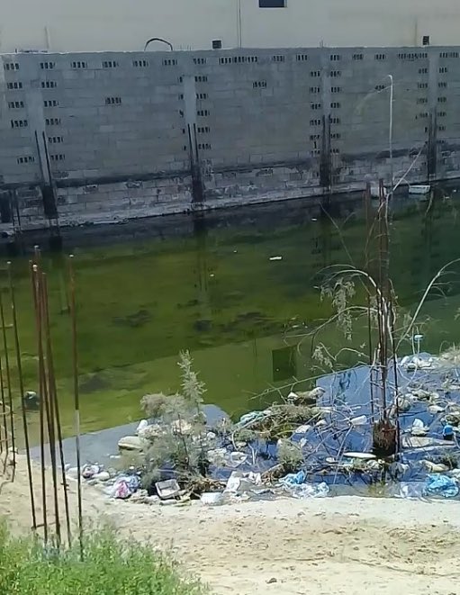 HAKAMI_AM430's tweet photo. @AJELNEWS24 @EasternEamana @WestDammam_Mun @E_AMANA_940 @majedhogail ضاحية الملك فهد بالدمام كلها بعوض ومستنقعات منذ سنين، وبلاغات تفتح يوميا بلافائدة. هذا منظر حي في مدينة رئيسية بالمملكه ؟؟؟ https://t.co/KE11Hy18OW