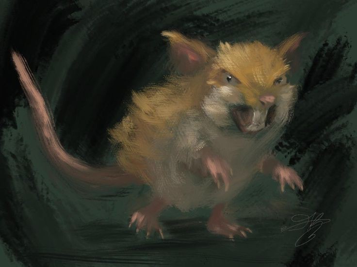 Dexnacional's tweet photo. Raticate se caracteriza por sus enormes bigotes que le ayudan a guardar el equilibrio, por lo tanto, si estos son cortados, tendría que caminar más despacio, de lo contrario terminaría perdiendo el equilibrio. #Pokemon #PokemonScarletViolet #PokemonGO https://t.co/GoIeUM4aKm