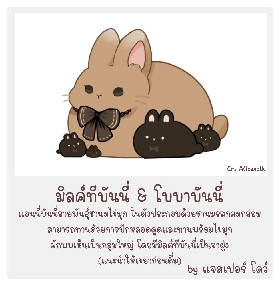 ATSR_Jasper's tweet photo. https://t.co/vPpLLwqaKP