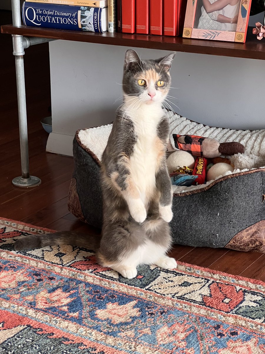 Ryan Senne tweet media