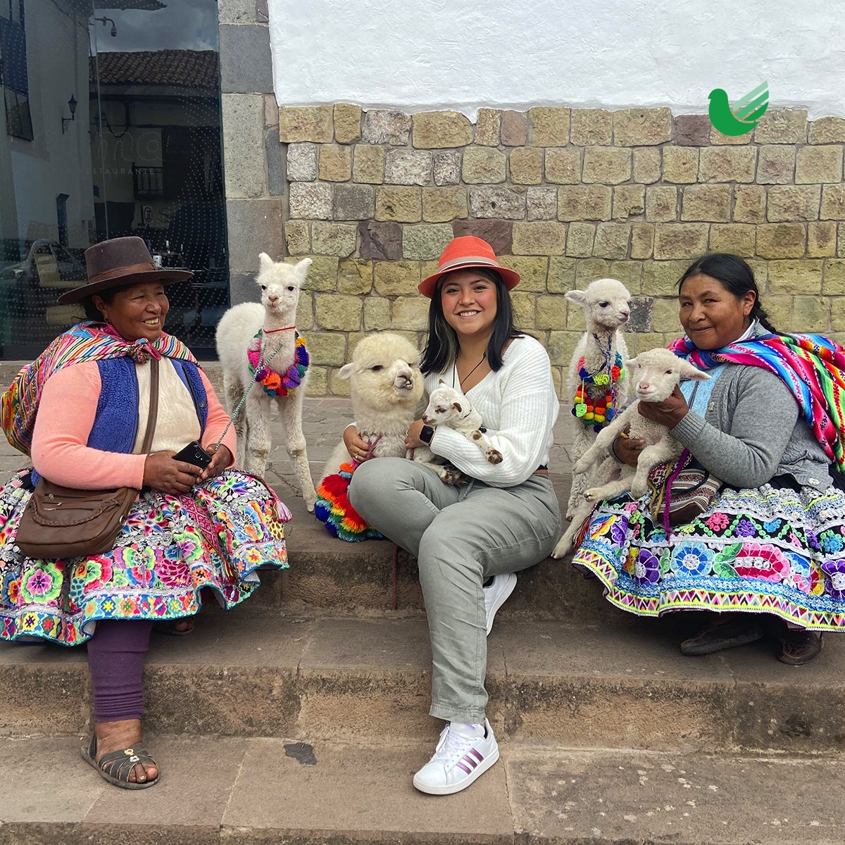 juliatoursmex's tweet photo. ✨¡Nuestro 3 día en Perú! ✨
¡Te contamos todo! Desde nuestra llegada al aeropuerto, el hotel, la comida y mucho más. ¡Acompañamos a descubrir Cusco!
Lee el artículo completo📲 https://t.co/Wzbj5QVvnV
.
#Peru #Lima #Miraflores #BlogDeViaje #TravelBlog #AmoViajar #TipsDeViaje https://t.co/69noFWu68L