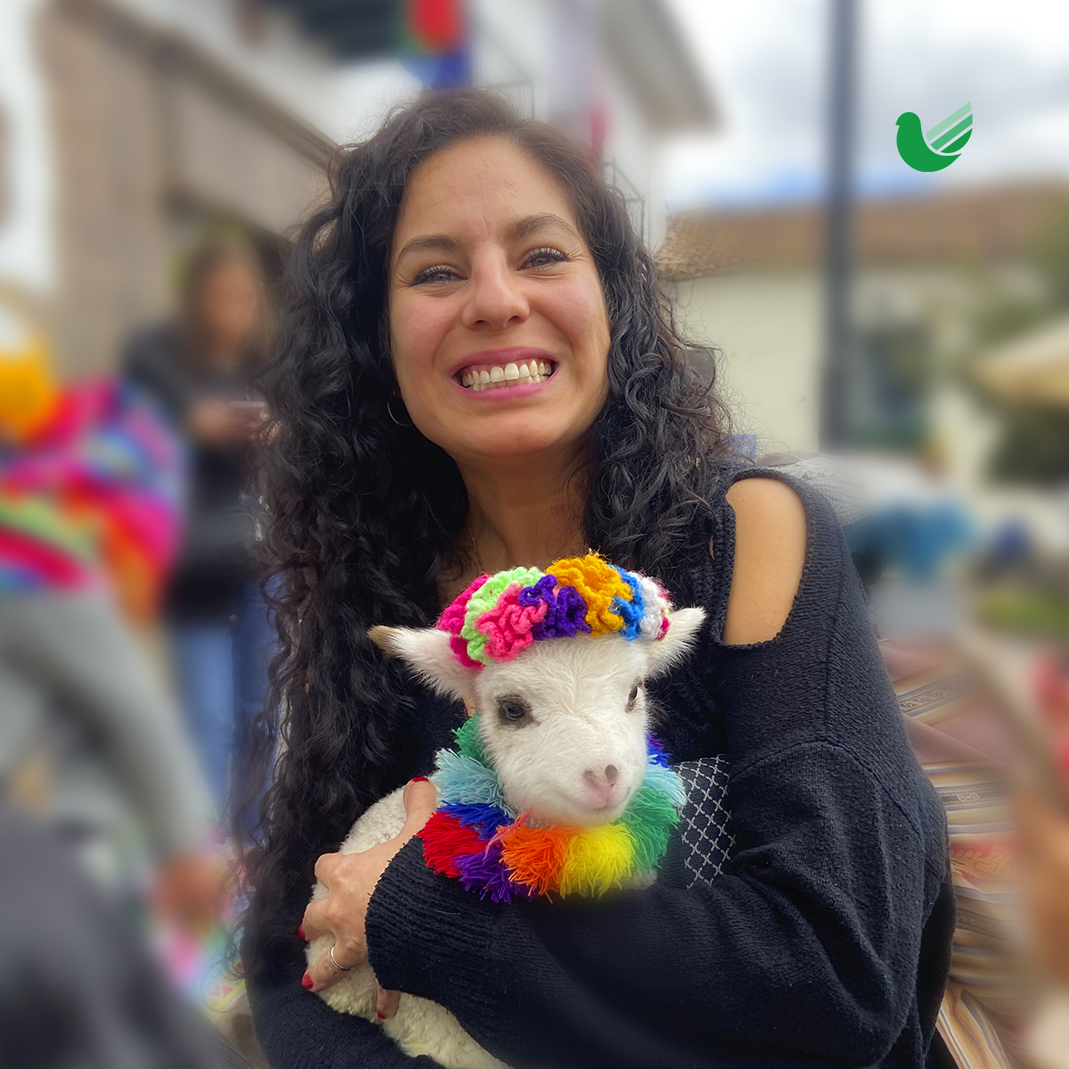 juliatoursmex's tweet photo. ✨¡Nuestro 3 día en Perú! ✨
¡Te contamos todo! Desde nuestra llegada al aeropuerto, el hotel, la comida y mucho más. ¡Acompañamos a descubrir Cusco!
Lee el artículo completo📲 https://t.co/Wzbj5QVvnV
.
#Peru #Lima #Miraflores #BlogDeViaje #TravelBlog #AmoViajar #TipsDeViaje https://t.co/69noFWu68L