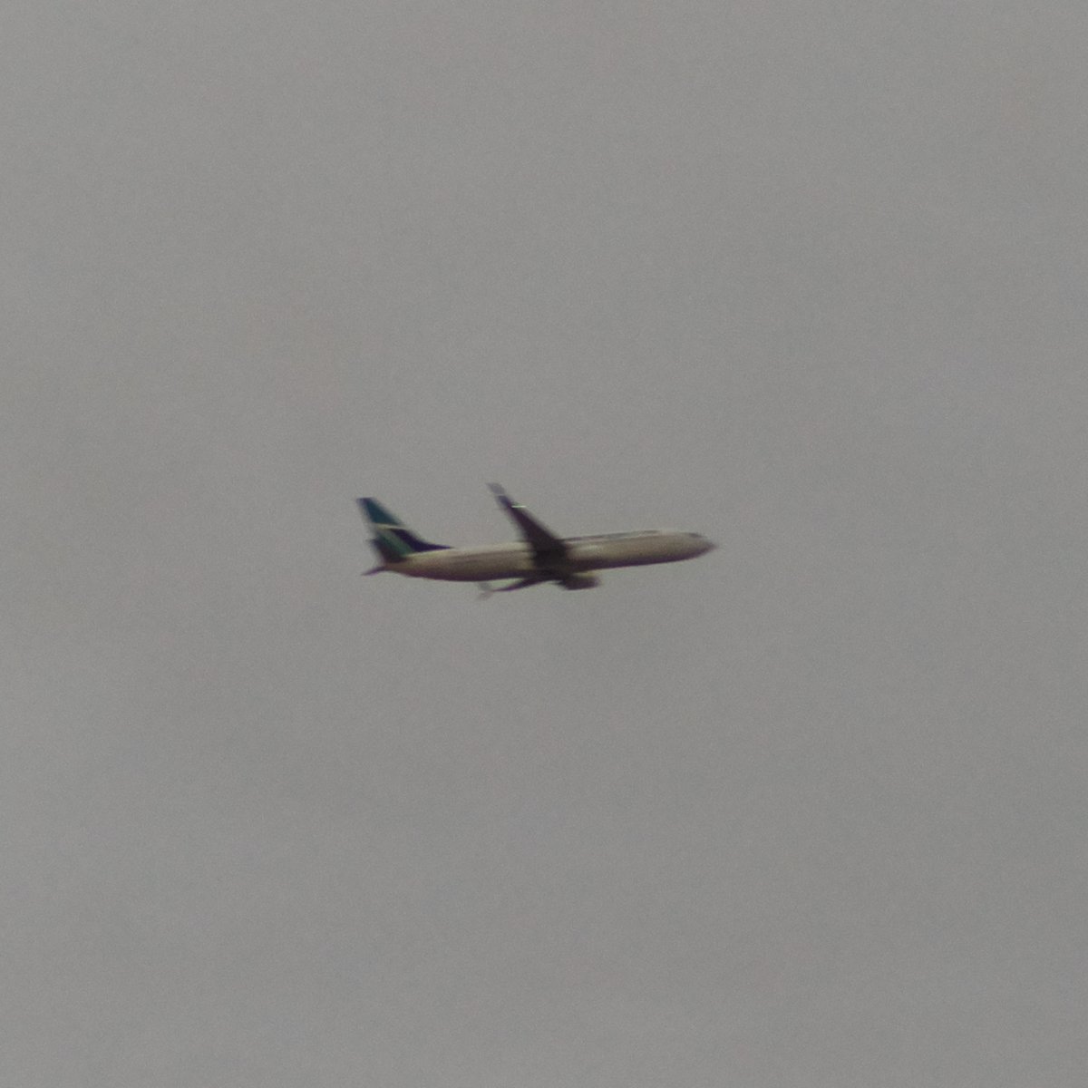 ActualPlaneServ's tweet photo. WJA1533
B738
C-GWRG
c08081
#WJA1533 #WJA #B738 #C-GWRG #c08081
Automated Photo Crop #Roboflow #AI Confidence Score: 0.907 #objectdetection #machinelearning #NVIDIA #Jetson #PHX #Automated #Planespotting #RaspberryPi #ADSB #SDR #NodeRed #AvGeek #ActualPlaneServer https://t.co/maU9IVJEvE