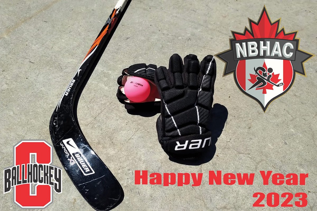 Canada Ball Hockey tweet media