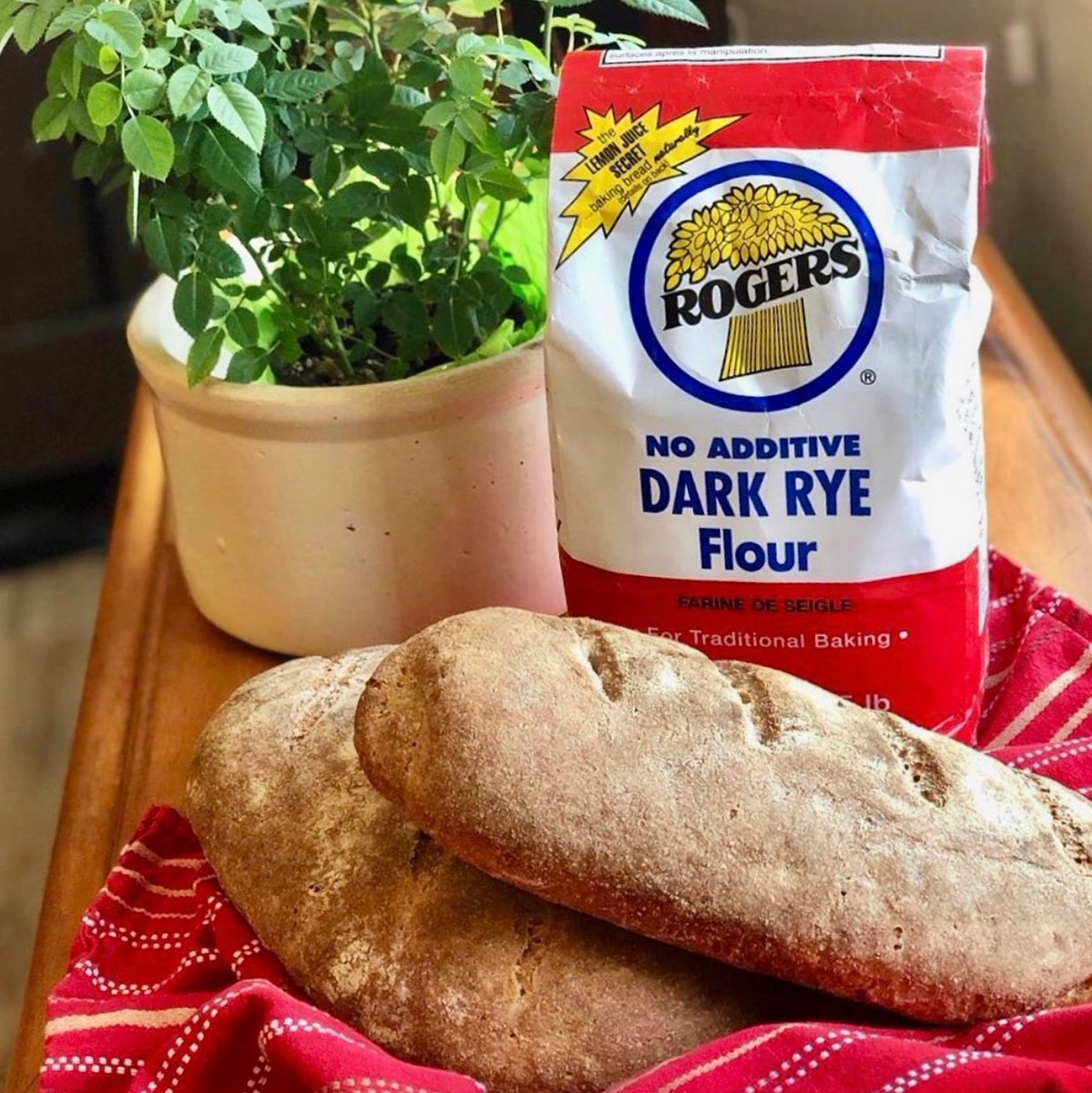 RogersFoods's tweet photo. We agree, @urbnspice! Dark Rye Sourdough Bread IS one of life’s great pleasures. Thank you for sharing!  #MadeWithRogers 🇨🇦 

https://t.co/NIgbV5aucm

#rogersfoods #rogersgrains #rogersflour #ryeflour #sourdoughrye #freshlybaked #freshbakedbread #sourdough #sourdoughbread https://t.co/yysJ1Osa2n