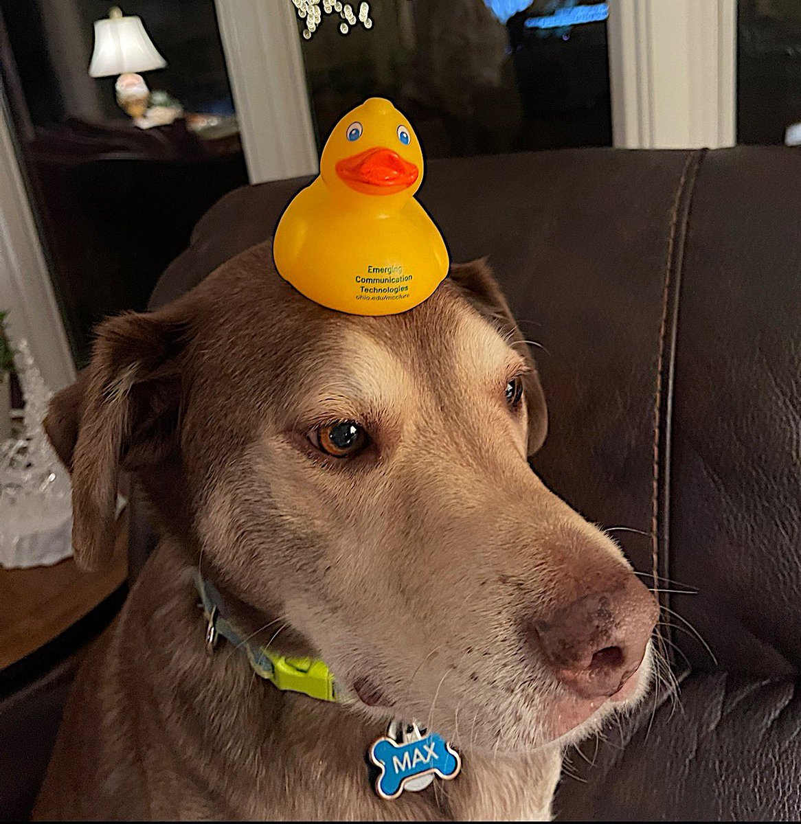 OHIO McClure School tweet media