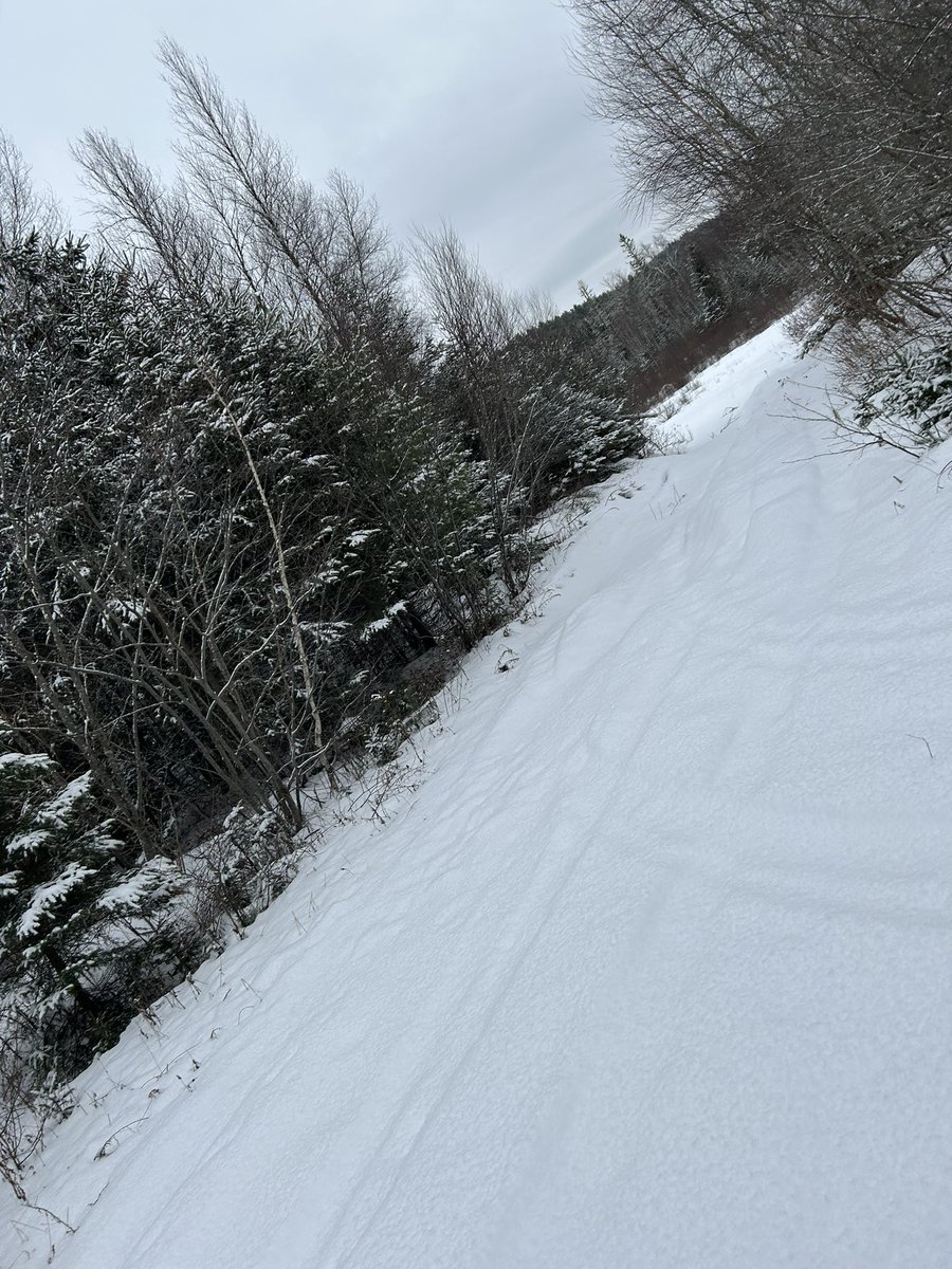 SarahMc48763173's tweet photo. My happy place!! #natureiscalling #foresttherapy #freshairandfun #CanAm #ride #snowisfun #countrygirl #backyardplayyard https://t.co/NSlUb3Ys6F