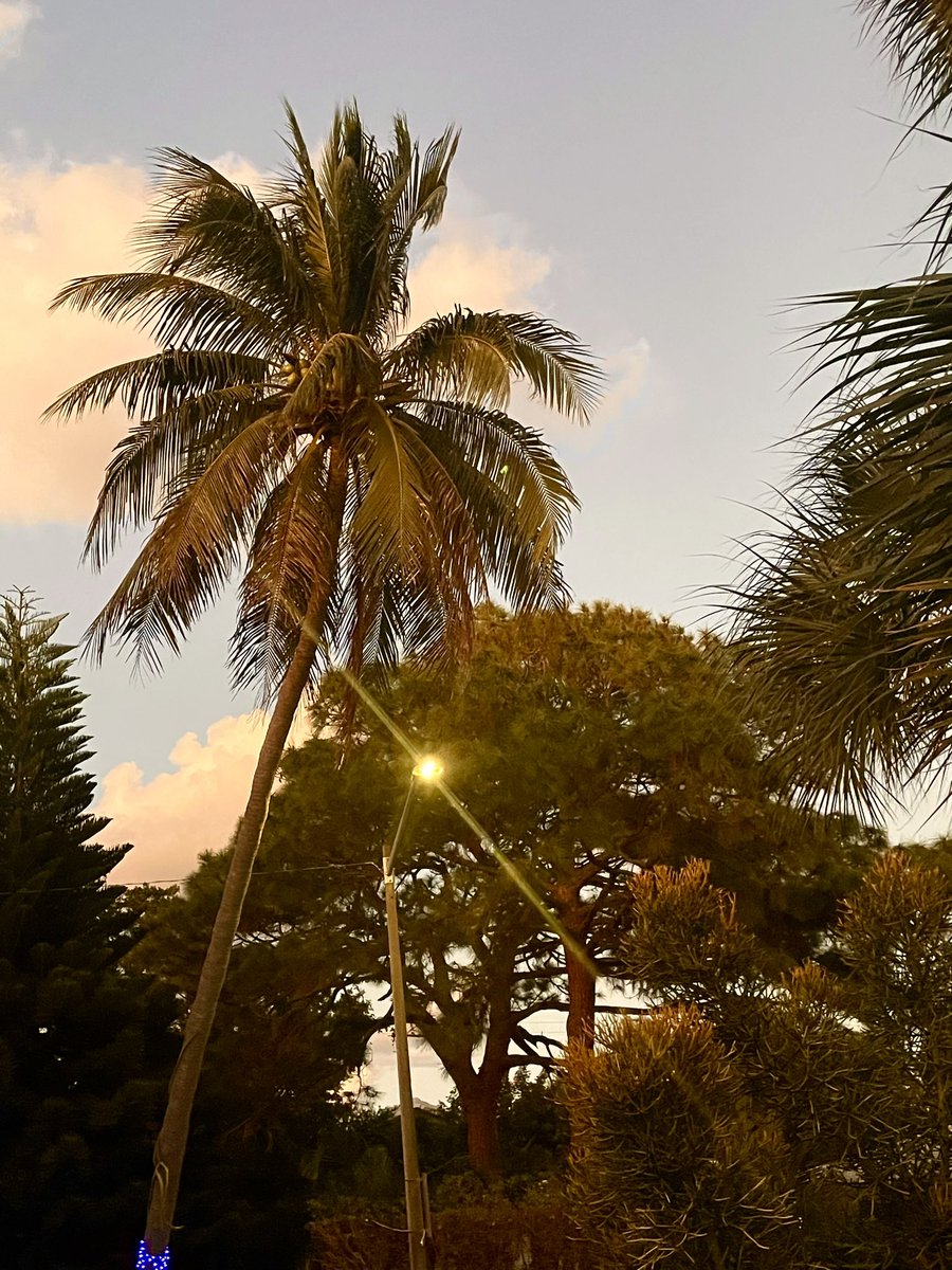 Evening