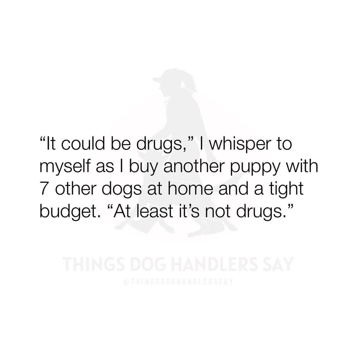 cccraiken's tweet photo. #doglife https://t.co/rhKQJkcinz
