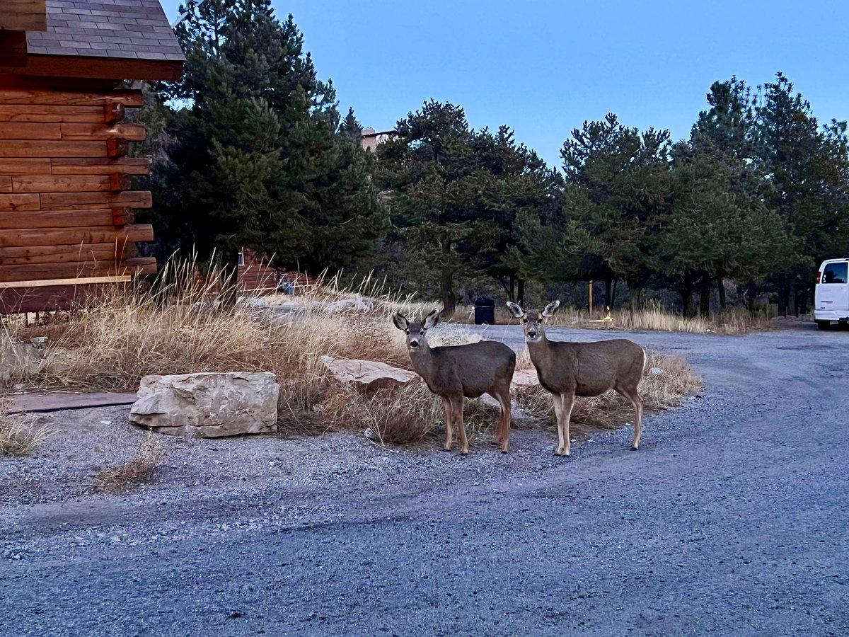 Eva McMillan ♥️ on Twitter "Amazing time at CO Rocky MountainsMount