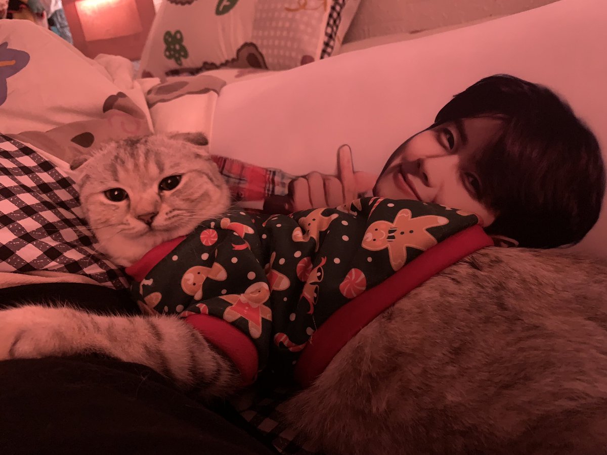 นอนหลับฝันดีสุดๆไปเลย ฟินมากกก