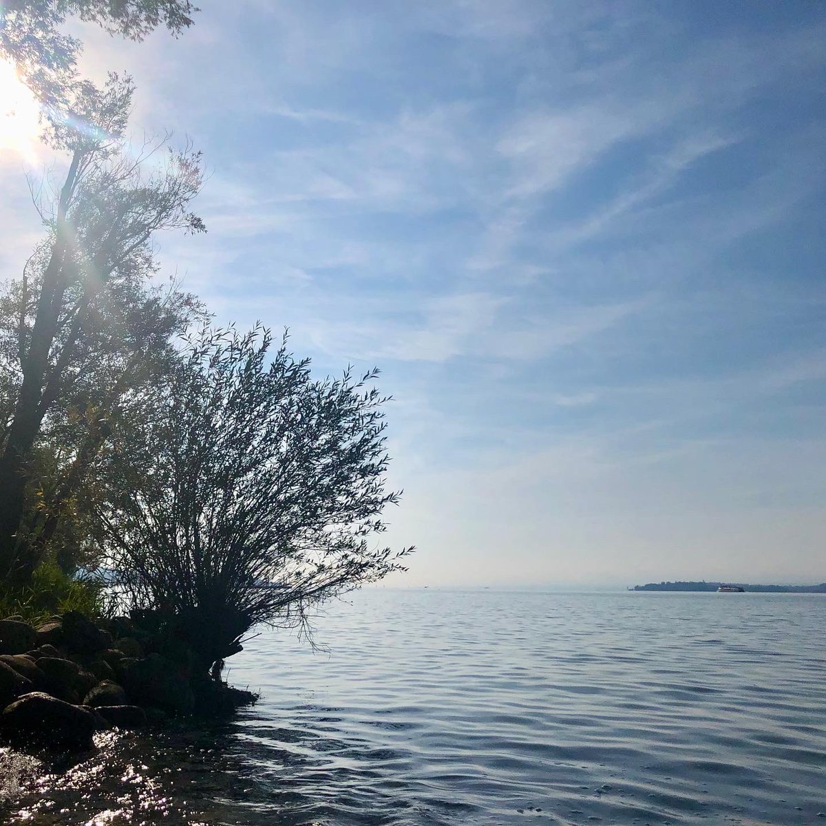 Spontan an #Silvester einen #Tauchgang am schönen #Bodensee machen?
Meldet euch und kommt am Samstag mit nach #Meersburg oder #Überlingen. 
Kein Kurs, keine Veranstaltung, einfach Jahres-End-Tauchen mit Freunden… und ev. n Glühwein danach. 

#padi #tauchen <a href="/PADI/">PADI</a> #fun