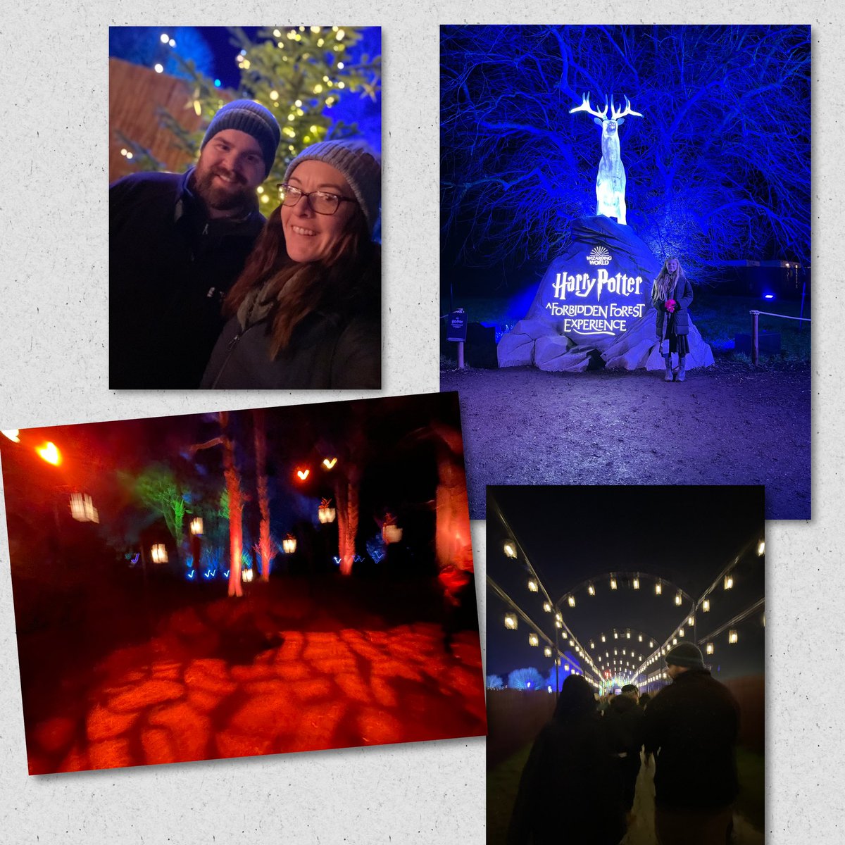 Jessica311281's tweet photo. Our fantastic Christmas gift to the Harry Potter forbidden forest experience @ArleyHall off Terri. 🪄🦄 https://t.co/talGnozS0S