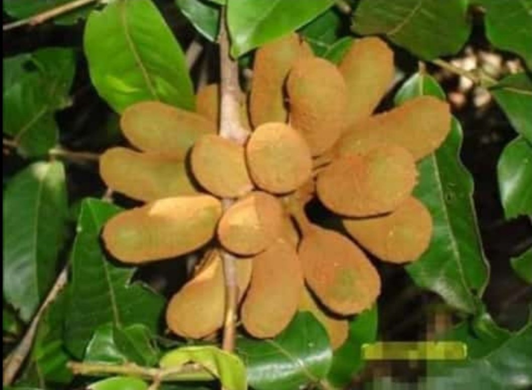 Can someone check it and WhatsApp me or email