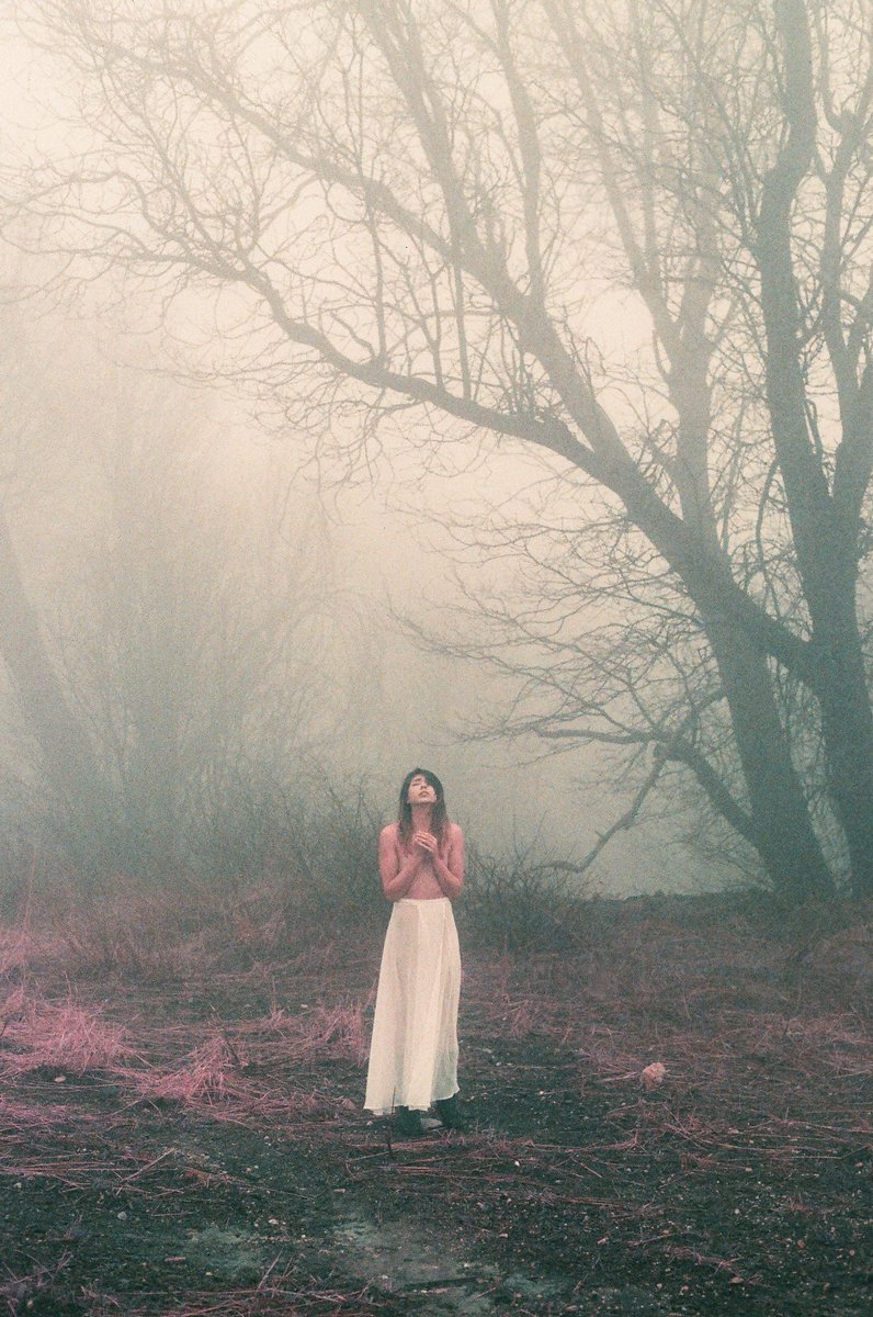 #35mm and foggy with <a href="/bound_lotus/">Bound Lotus</a> 
#lomochromepurple