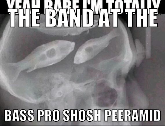 kubandmemes's tweet photo. https://t.co/4harnHPGUi