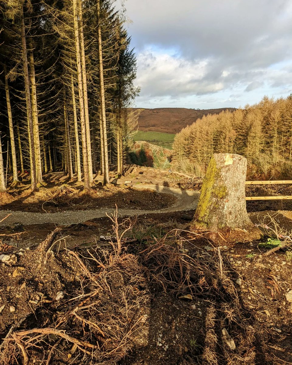 CloudBusiness9's tweet photo. Arrived at @OPALlandegla for sunrise & left after sunset. Awesome day out on the #mountainbikes in #Llandegla π΄ββοΈπ² #mountainbiking #ebikes #ebike #whytebikes https://t.co/7CRkRqpNtU