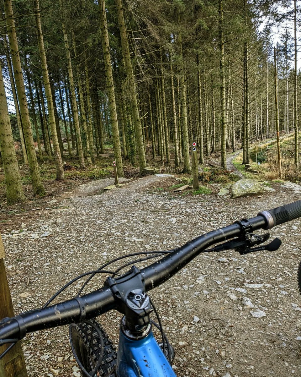 CloudBusiness9's tweet photo. Arrived at @OPALlandegla for sunrise & left after sunset. Awesome day out on the #mountainbikes in #Llandegla π΄ββοΈπ² #mountainbiking #ebikes #ebike #whytebikes https://t.co/7CRkRqpNtU