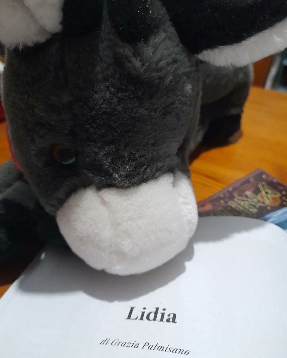 Lidia di Grazia Palmisano,  cioè io, su <a href="/AlkalinaRivista/">Alkalina</a> #4
Grazie a <a href="/emanuele68/">emanuele</a> per ogni tutto (lo so che non si può dire, ma tu capirai)