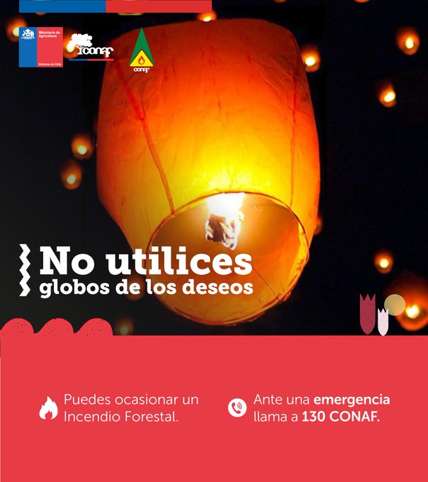 conaf_rm's tweet photo. Rodrigo Illesca, director regional #CONAF, hace un llamado la comunidad a no manipular🎈 de los deseos ni fuegos artificiales para estas festividades, ya que pueden originar #IncendiosForestales 🔥🚫
📌https://t.co/EBYGncLE6S https://t.co/ApwTwRcBRQ