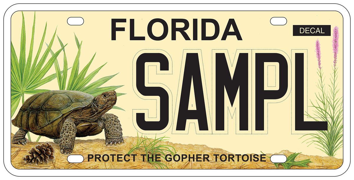 WildlandsI's tweet photo. Support protection of the gopher tortoise (who are threatened in the state of Florida) by purchasing a specialty license plate voucher!
Funds generated will go directly towards gopher tortoise habitat conservation, management, education, and research. 
https://t.co/fiKrtwg5vk https://t.co/HIKaORD35W