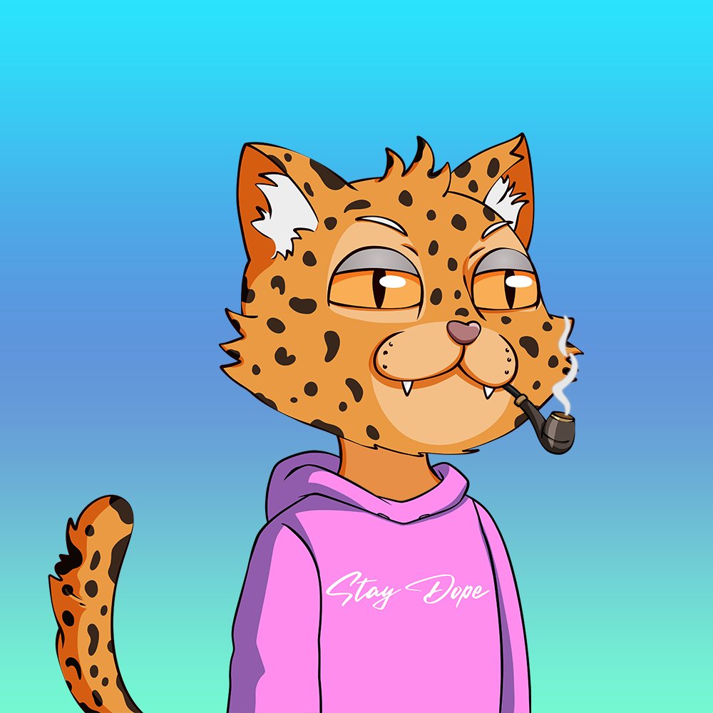 dopecatsbot's tweet photo. 🙀 SALES BOT GOES PURRRR

Dope Cat #3086

💵 SOLD → 0.15 SOL ($1.27 USD)
🛒 https://t.co/7gHiV0fYUn

🥇 https://t.co/UFPy9PDPvU 
🧾 https://t.co/maSpUjf7hR https://t.co/Xeqm1PSK8B