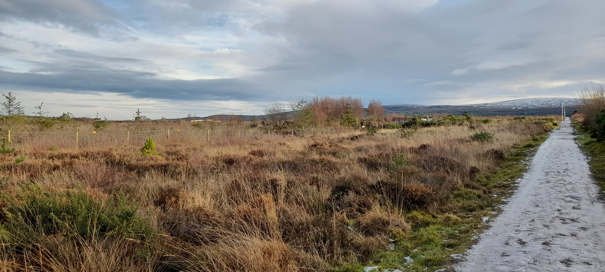 Jim_Aram's tweet photo. Lovely day with strange, mixed emotions. Visited @CairngormMtn. Last time it was 27°C, today more like 27F, then visiting @nationaltrust #Culloden #Battlefield. Back in t'hotel reading+watching @Writer_DG #Outlander, @caitrionambalfe @SamHeughan listening to @MarillionOnline 🐟 https://t.co/XYVHhvRWQF