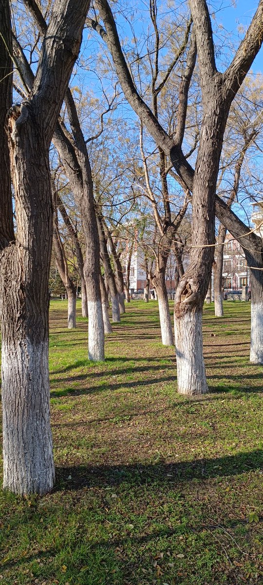 ibrahim (@ibrahimsezen) on Twitter photo 