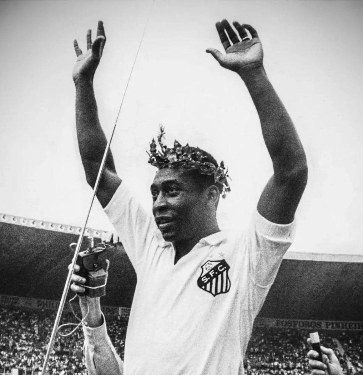 NunoMSDias's tweet photo. Pelé era como um mundo sem imperfeições. Não há, por isso, palavras perfeitas para elogiar a lenda. Todas serão sempre poucas. Imperfeitas. Felizmente, fica o legado que o Rei nos deixou. Até sempre. Para sempre!
@CBF_Futebol @FIFAcom https://t.co/6Oj3r0fKgT