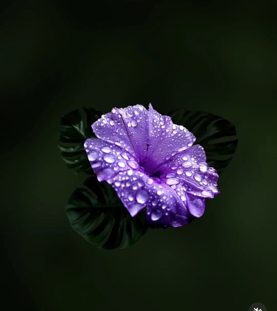 alahlaam__16's tweet photo. وفي أعيننا لمعة امتنان تجاه كل الذين أنصفونا وعرفوا قدرنا ولاحظوا كل الجميل الذي بنا، وتحت هذه اللمعة ومضة حزن عتيقة وباقية، وهي من أثر الذين أحببناهم كل الحب، ولم يروا فينا أبدًا كل الذي كان سهلًا على الغرباء أن يروه ويعترفوا به ..
#لاترحل_بلا_أثر https://t.co/DSKAsv5w4o