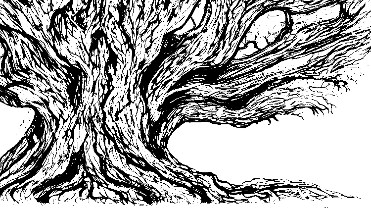 SteveAlvest's tweet photo. A forest kingdom where many trees are revered and sacred. The magic comes from the trees. https://t.co/bqNhQHp4Qf https://t.co/8qTHseqaeH