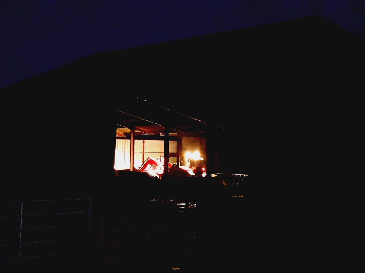 FfionClwyd's tweet photo. Y bore bach #Bodffari ffarmio π π
#Massey #feeding cattle https://t.co/vZE4sLdzDl