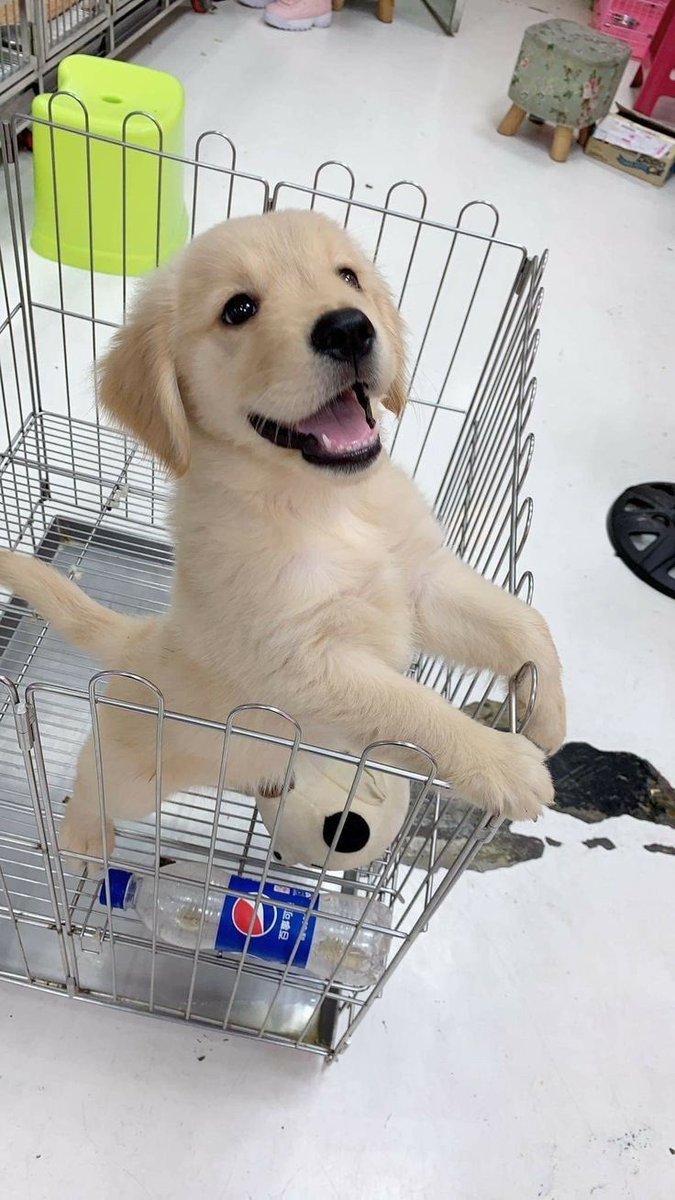 Súper Blue está de vuelta. 💙