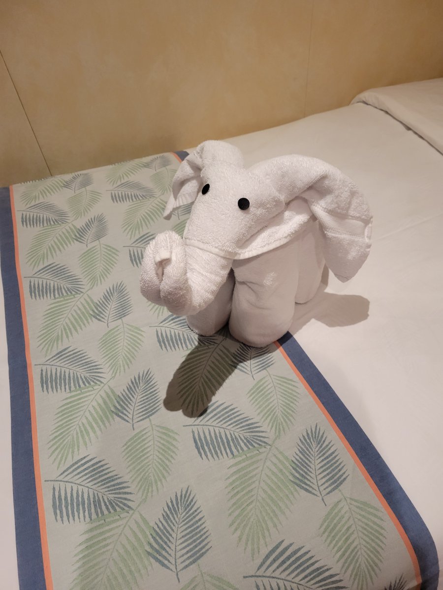 InfernalMcGruff's tweet photo. @Norphert @WholesomeMeme I stayed on a cruise and they did this too!! https://t.co/5p1nxQQye6