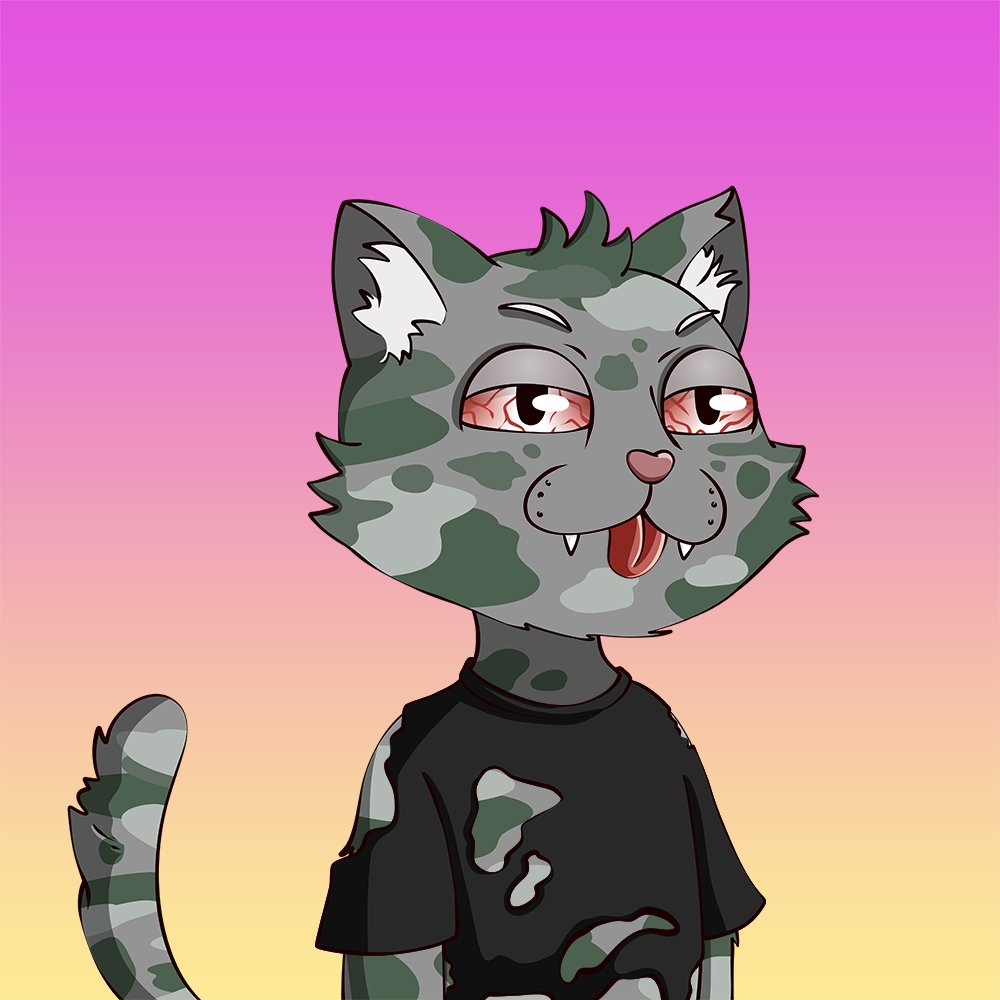 dopecatsbot's tweet photo. 🙀 SALES BOT GOES PURRRR

Dope Cat #2549

💵 SOLD → 0.17 SOL ($1.42 USD)
🛒 https://t.co/jkB7jaX96n

🥇 https://t.co/9smkV1KzmI 
🧾 https://t.co/y91FpYGm94 https://t.co/WHhb9dqUfQ