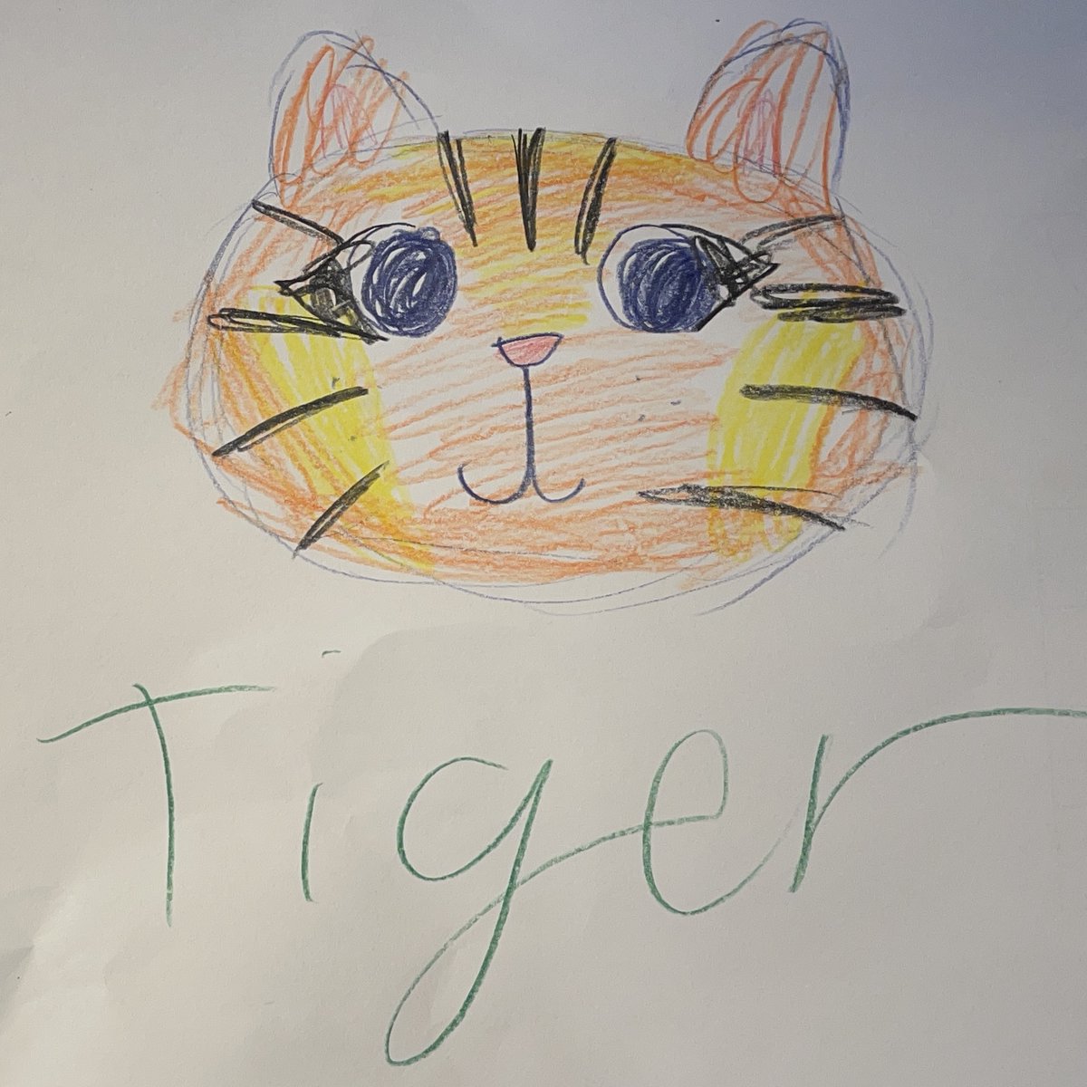 ScienceMusofVA's tweet image. Check out these masterpieces our creative &amp;amp; talented guests left for all to see outside the Art Lab during winter break! 

#ScienceArt #ArtLab #VAmuseums #RVA #ScienceMuseum #MuseumArt #MuseumFun