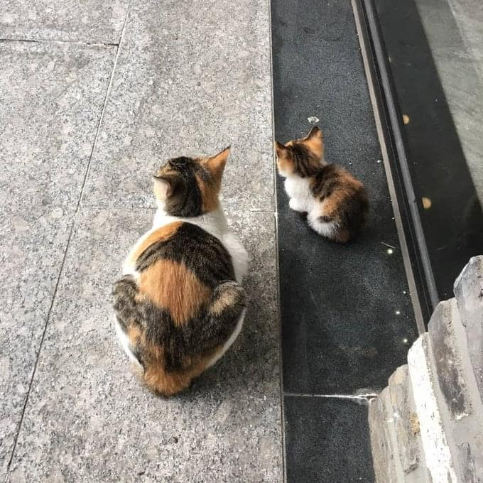 I know that mother and son.