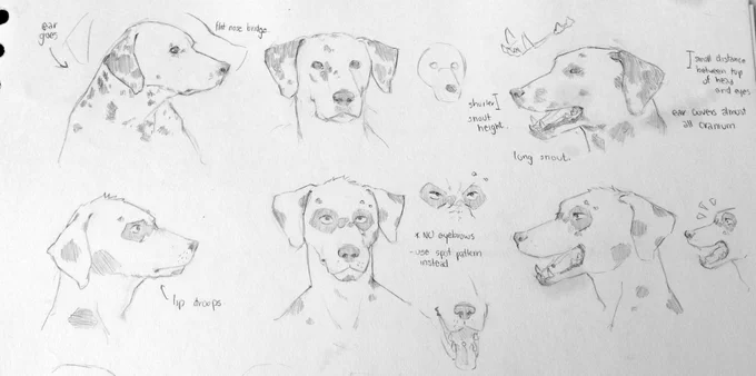 found some studies from back when I was starting work on Glory Hounds! Alex looking.... dogful 