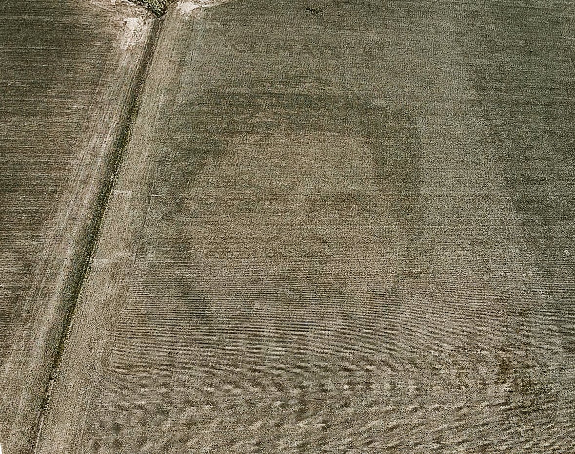 JoseB_Cba's tweet photo. Mientras tanto, en algún campo del sur cordobés...
18 productores sembraron el rostro de Messi, combinando la #AgriculturaDigital de @FieldViewArg, la mejor genética de @DekalbArgentina y la locura de @faricharly ...¡ya se viene 🐐🌽!
.
@Bayer4CropsAR @fantinofantino @WoelkeLucas https://t.co/yfpSLHup1j