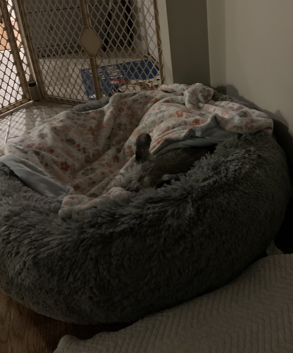 aschonfeld5's tweet photo. @backbooked Wake me up when it hits zero https://t.co/VclmCzpCiZ