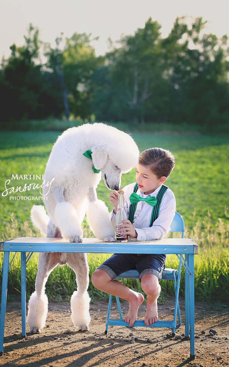 This is still one of my favorite shoots to date and I can’t wait for all of my upcoming dog sessions in 2023! ❤️
#dogshow #poodle #standardpoodle #vintage #yxe #saskatoon #photography #newyear #dogphotography #dogphoto #dogs #dogsoftwitter
