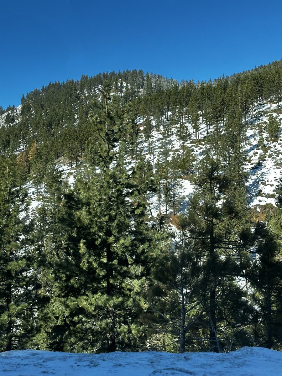 krissalpr's tweet photo. Lake Tahoe, California https://t.co/Wn0jgErT47