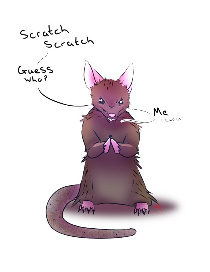 RandomlyBlue28's tweet image. Very quick sketch of the little shit who has decide to pay me a visit. 
It was literally knocking on loose wood like a fecking door knocker! 
(Location-My fecking bedroom)
#sketch #ratproblem #paranoid?