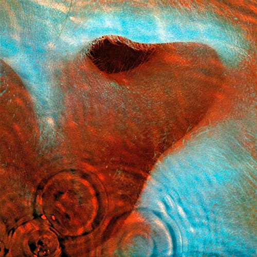 ReturnofR's tweet photo. What is YOUR favorite SONG from MEDDLE? #Meddle #PinkFloyd https://t.co/4595iMxD1N https://t.co/h6f1Nb54vz
